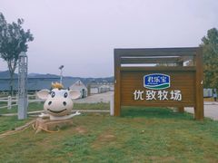 -君乐宝优致牧场
