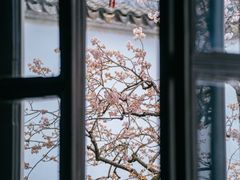 -拙政园