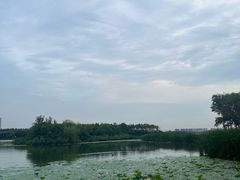 -丁香湖公园