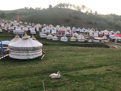 -关山牧场王师烤全羊