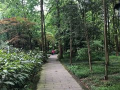 -峨眉山报国寺