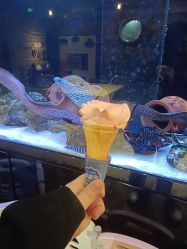 -Zoolung Zoolung动物主题公园(海信广场店)