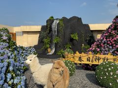 -Blue Concept Cafe&Farm·關於藍