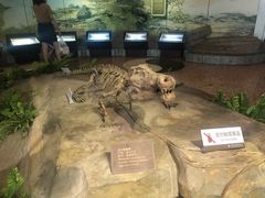 -自贡恐龙博物馆