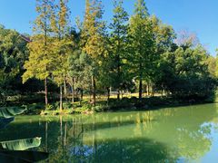 -杭州花家山庄