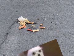 -阿姨卷饼(平凉路店)