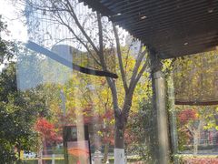 -荷风细雨·中国茶宴(碧云店)