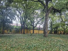 -西园戒幢律寺