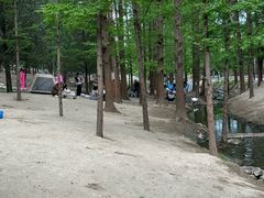 -白水寺森林公园