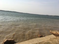 -丁香湖公园