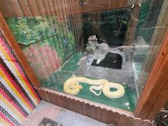 -上海大自然野生昆虫馆(东方明珠·爬宠昆虫探索中心)