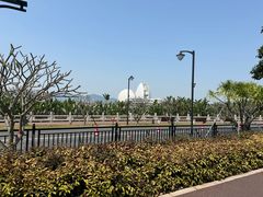 -野狸岛