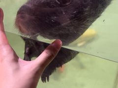 -正佳雨林生态植物园