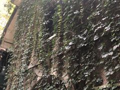 -巴金故居