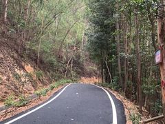-滴水岩森林公园