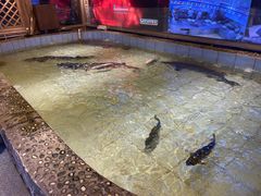 -胖姐渔村(中源大道店)