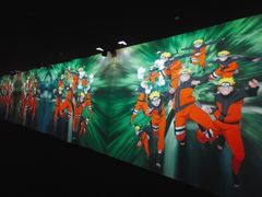 -火影忍者动画多媒体展