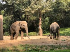 -北京野生动物园