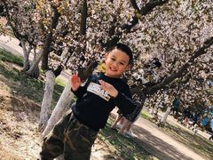 -朝阳公园游乐园