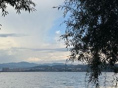 -洱海月湿地公园