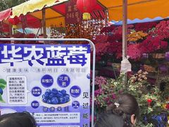 -天河体育中心
