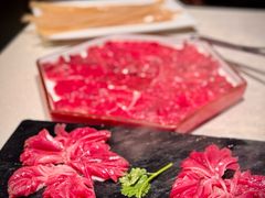 -红鼎坊·老成都火锅(新南门店)