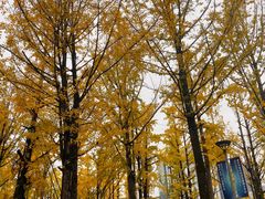 -百林公园-两江幸福广场