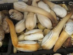 -沙田台山海鲜·酣客酒窖