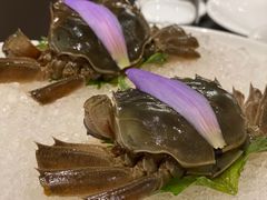 -天伦里餐厅(绿城桃花源店)