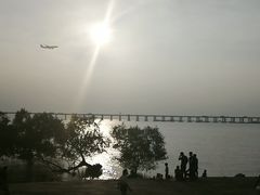 -宝安西湾红树林湿地公园