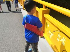 -青枫公园