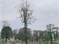 -桂溪生态公园