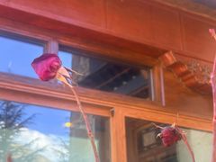 -松赞拉萨林卡酒店