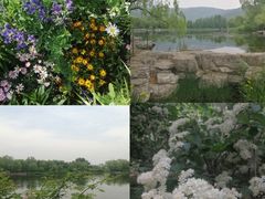 -国家植物园
