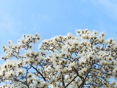 -郑州中国绿化博览园