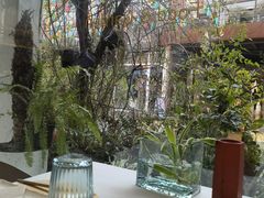 -春树下·树屋花房西餐厅(罍街AS1980店)