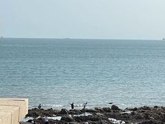-八大关景区