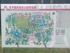 -东平国家森林公园