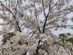 -南山植物园