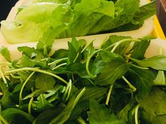 -正能量脆肉鲩火锅