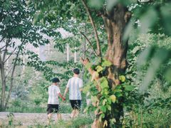 -南湖大桥