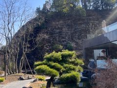 -雅苑中餐厅