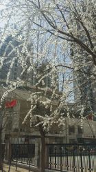 -一東造型烫发染发