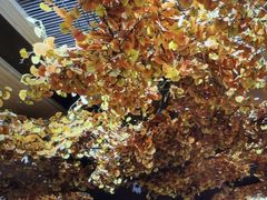 -青水瓦台汤泉(未央店)