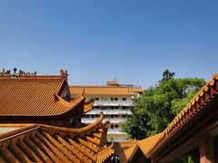 -深圳仙湖植物园