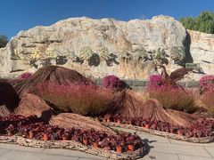 -北京西山国家森林公园