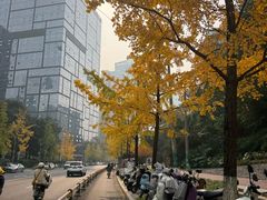 -南堂馆·新川菜(天府三街店)