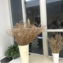 点击看大图 -MOKA HAIR SALON 烫染造型