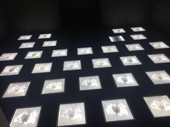 -MOJO密室逃脱(中街旗舰店)