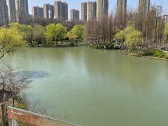 -青枫公园